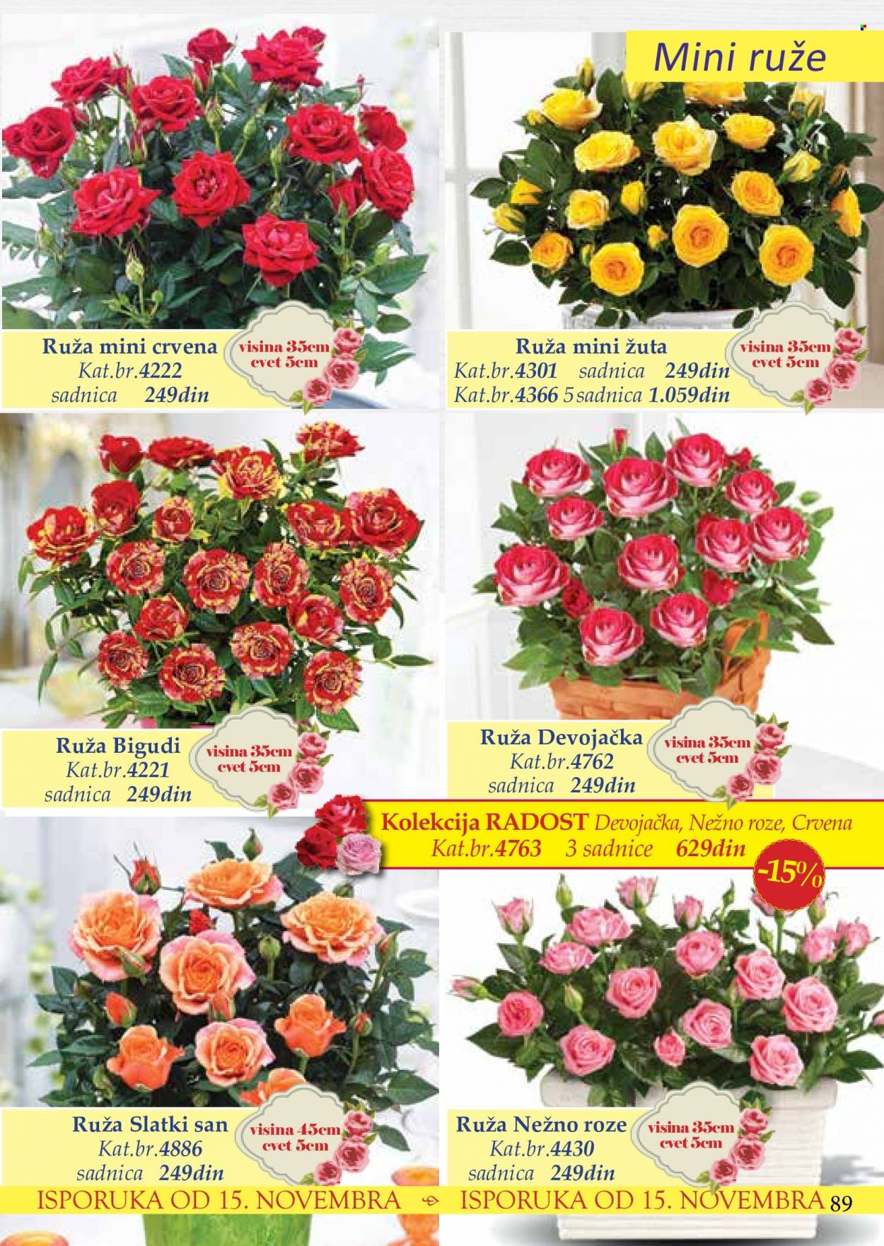 Flora Ekspres katalog. Stranica 89