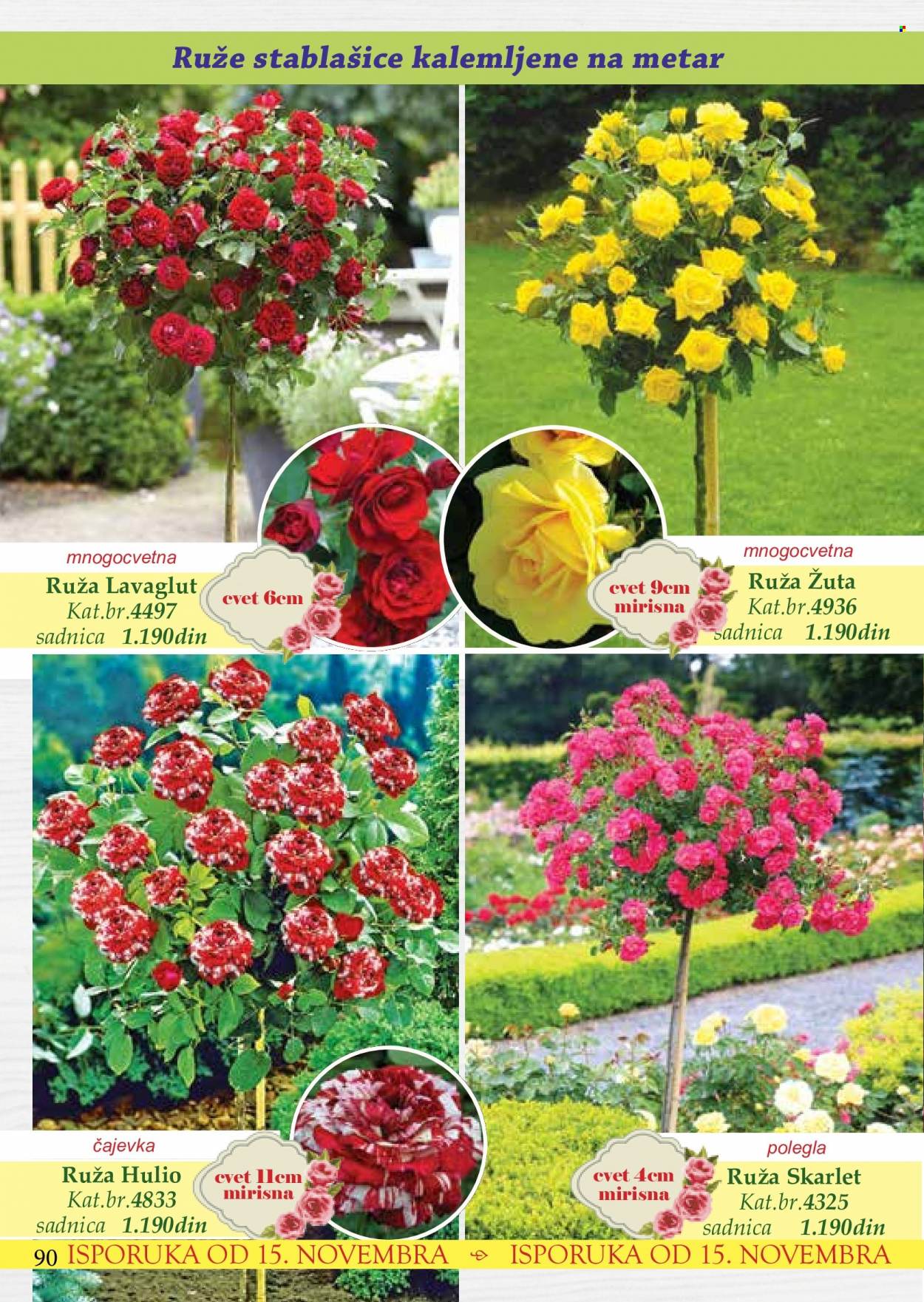 Flora Ekspres katalog. Stranica 90