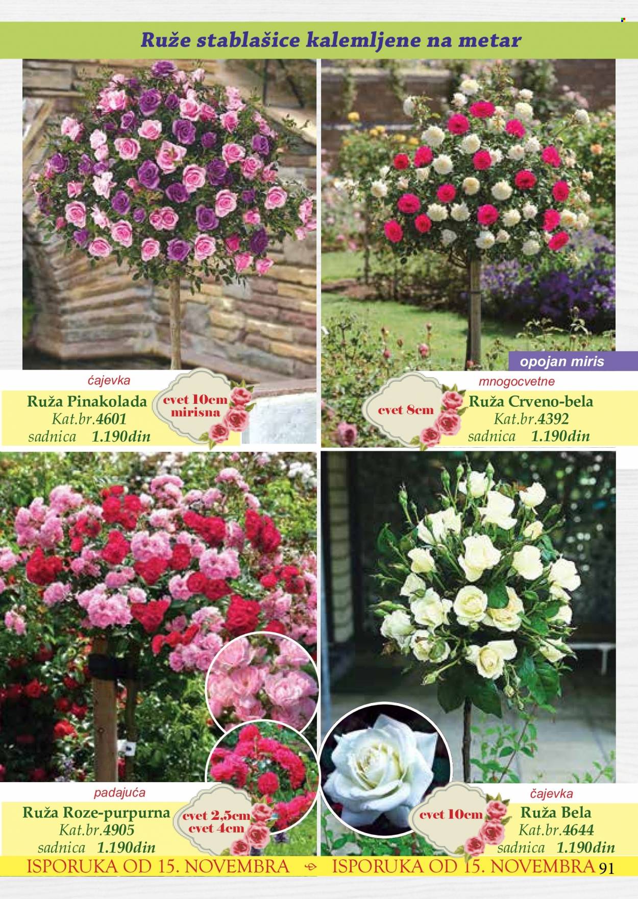 Flora Ekspres katalog. Stranica 91