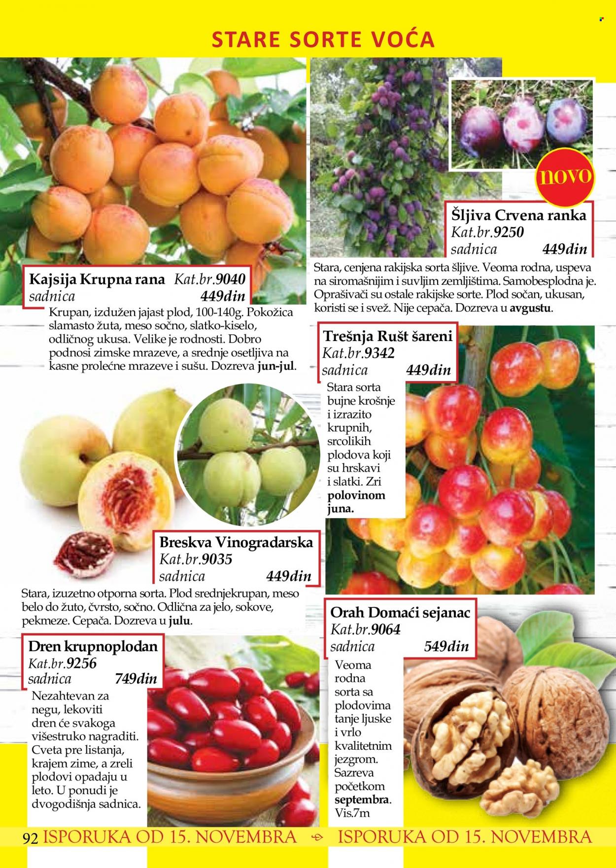 Flora Ekspres katalog. Stranica 92