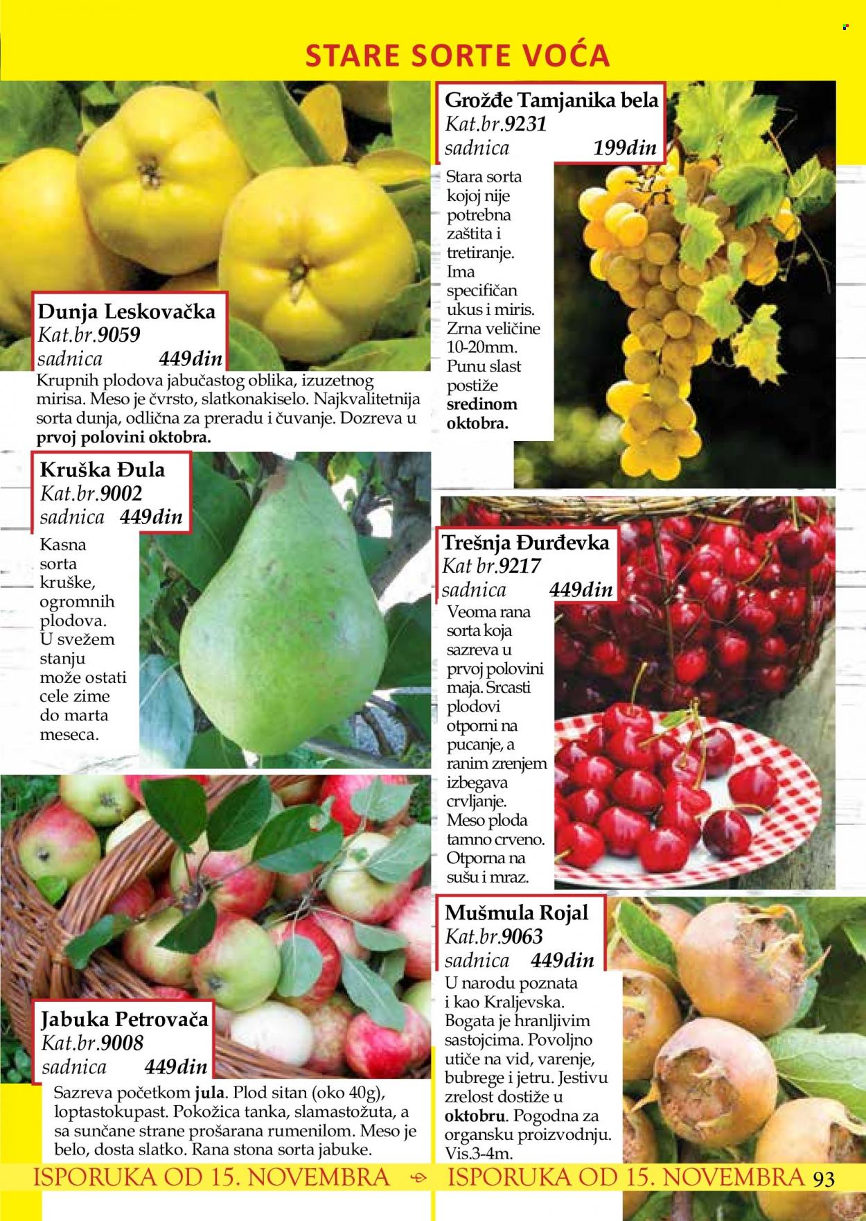 Flora Ekspres katalog. Stranica 93