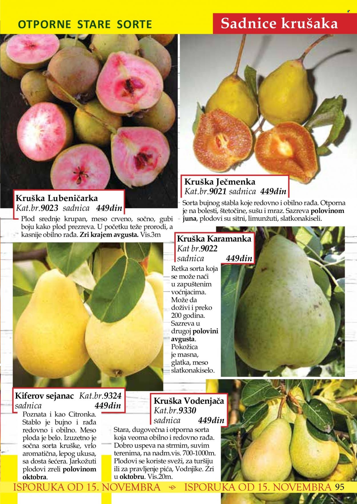 Flora Ekspres katalog. Stranica 95