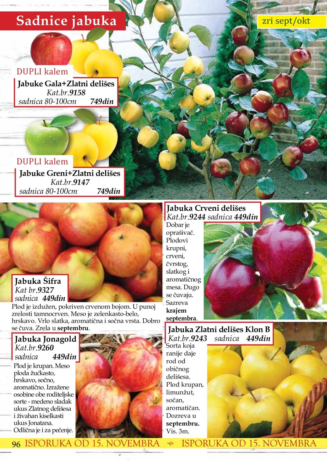 Flora Ekspres katalog. Stranica 96