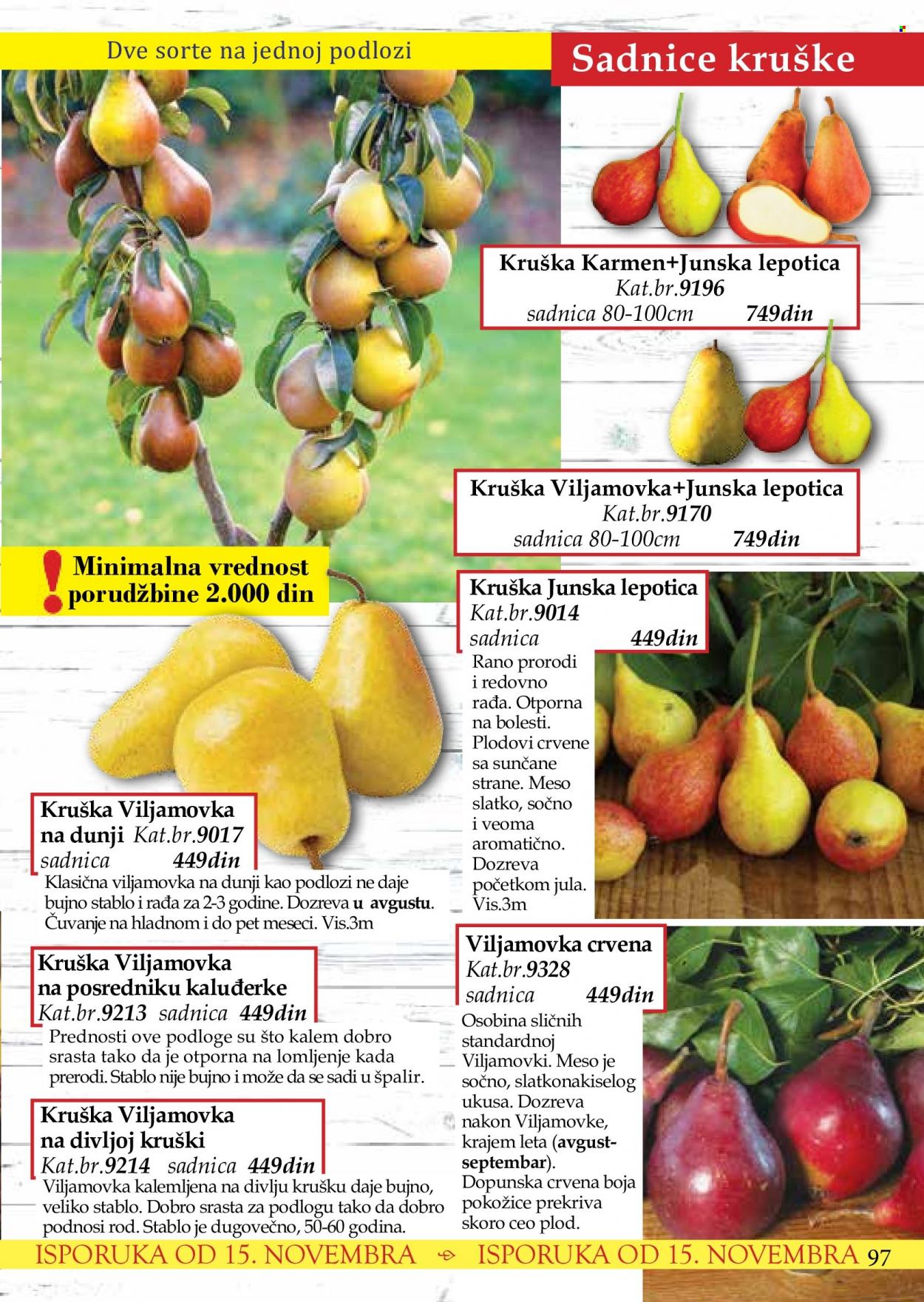 Flora Ekspres katalog. Stranica 97