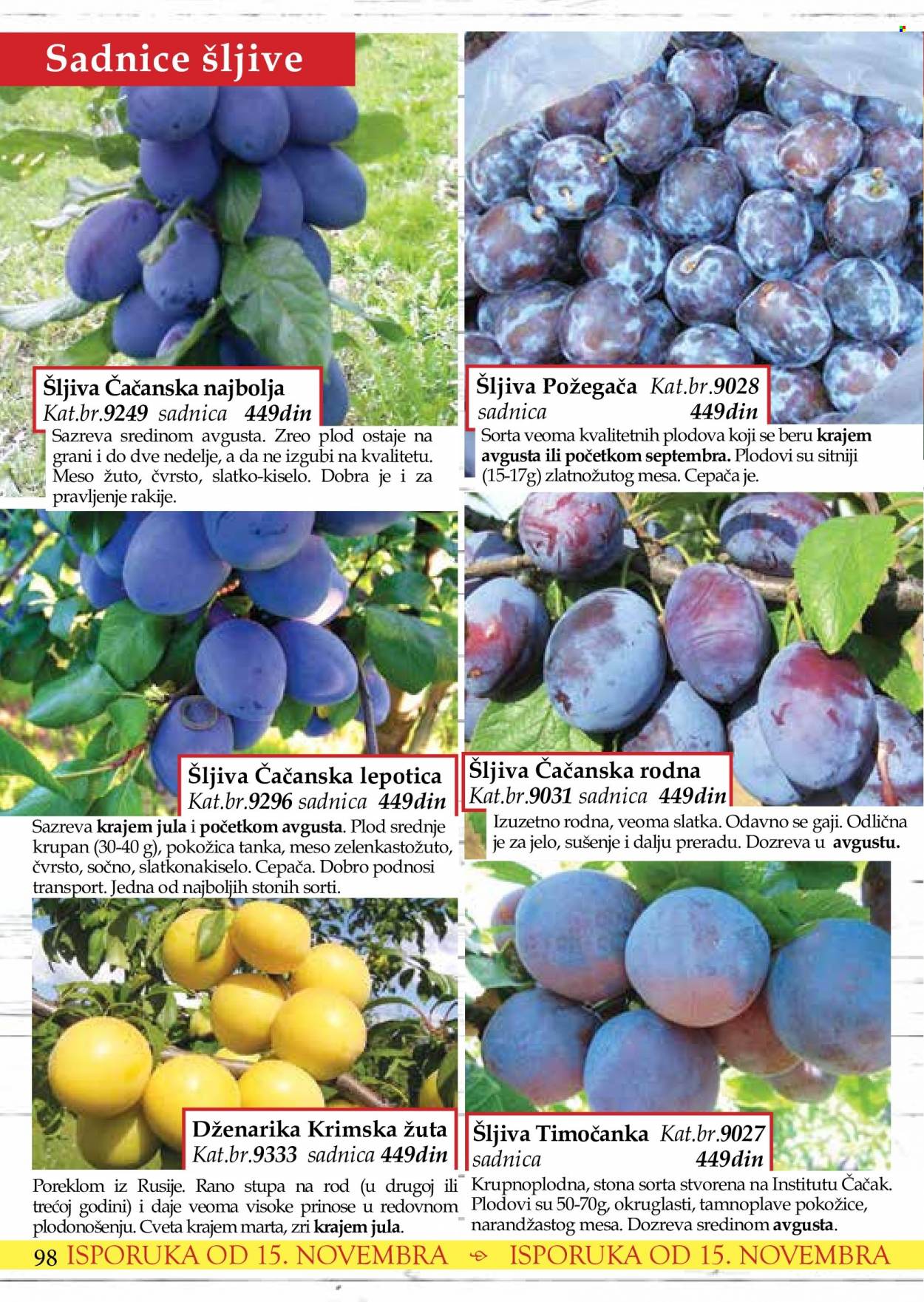 Flora Ekspres katalog. Stranica 98