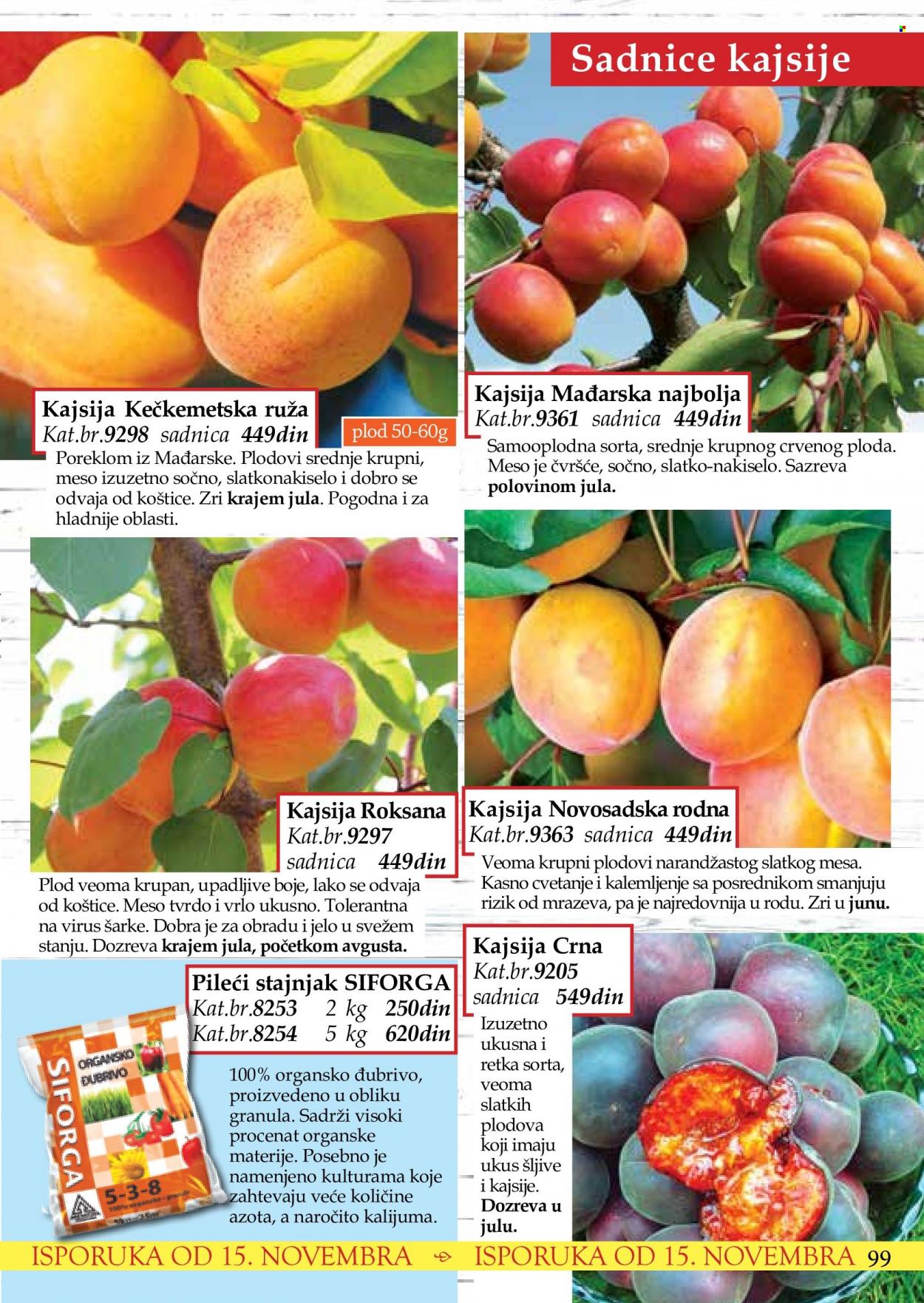 Flora Ekspres katalog. Stranica 99