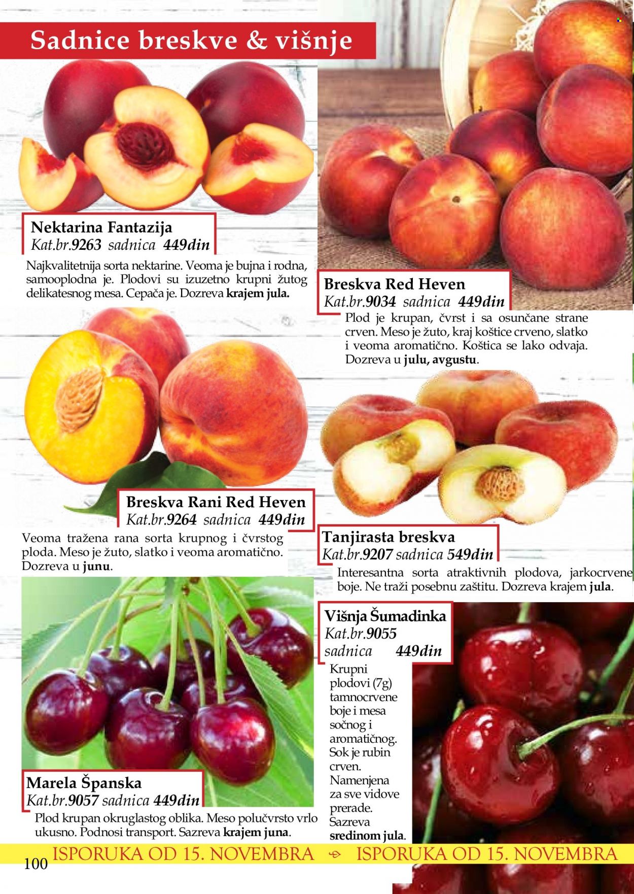 Flora Ekspres katalog. Stranica 100