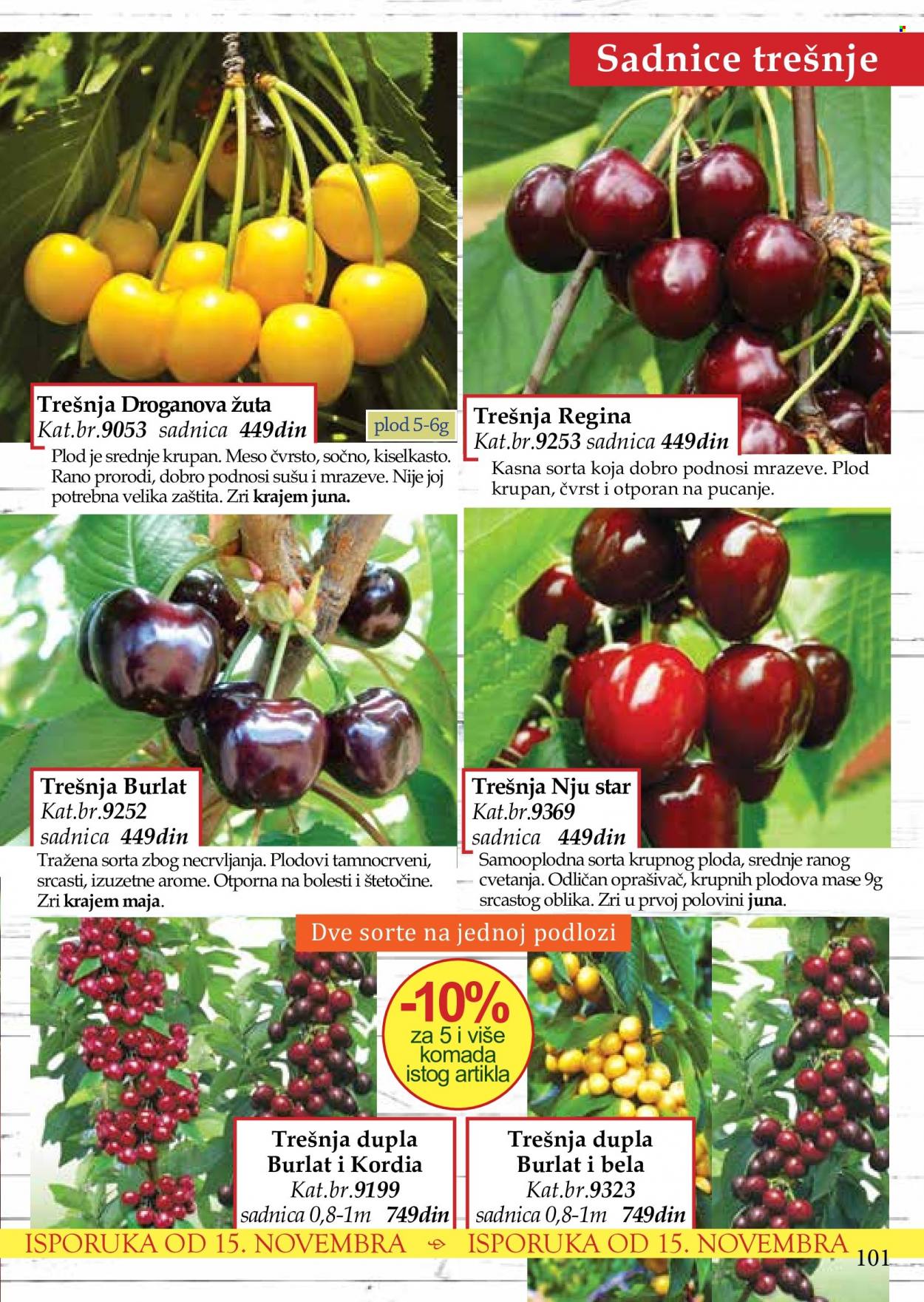Flora Ekspres katalog. Stranica 101