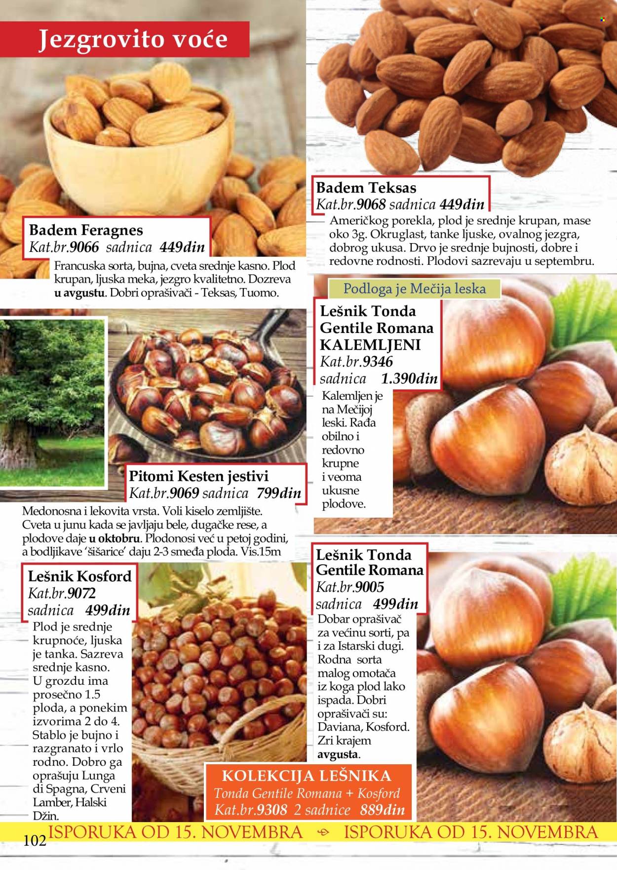 Flora Ekspres katalog. Stranica 102