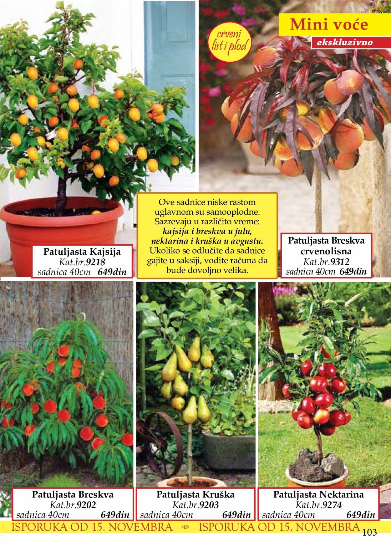 Flora Ekspres katalog. Stranica 103