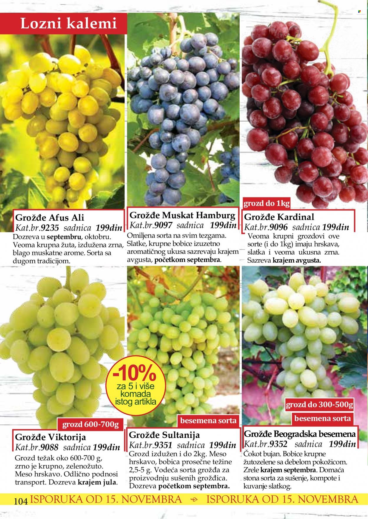 Flora Ekspres katalog. Stranica 104