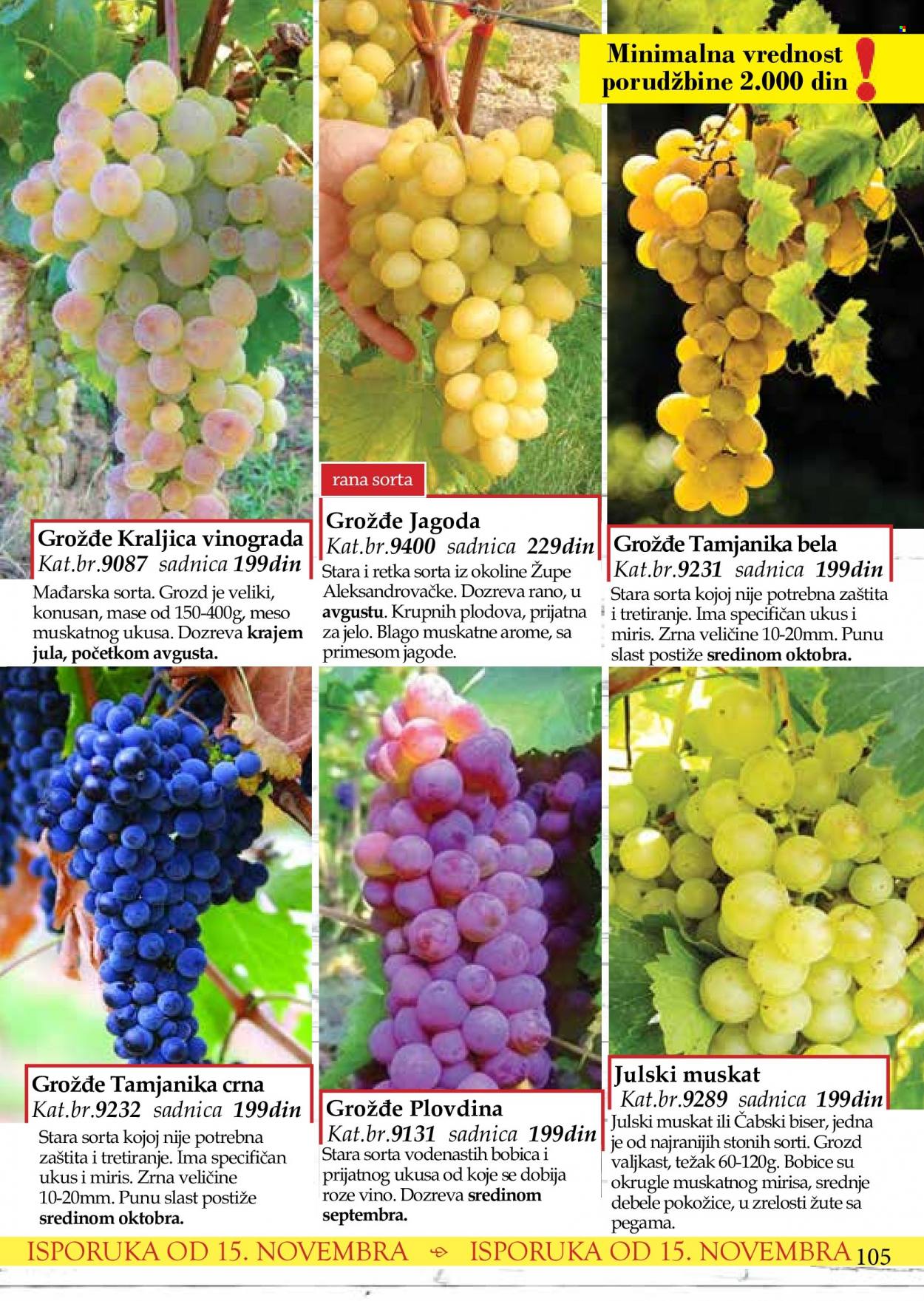 Flora Ekspres katalog. Stranica 105