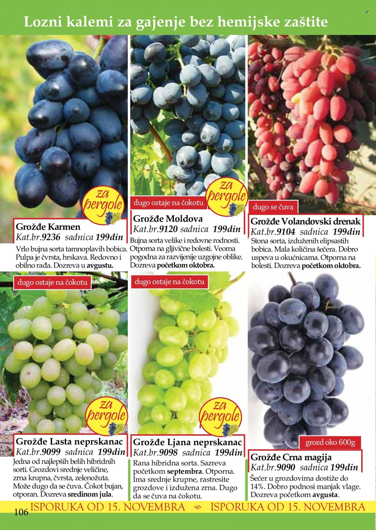 Flora Ekspres katalog. Stranica 106