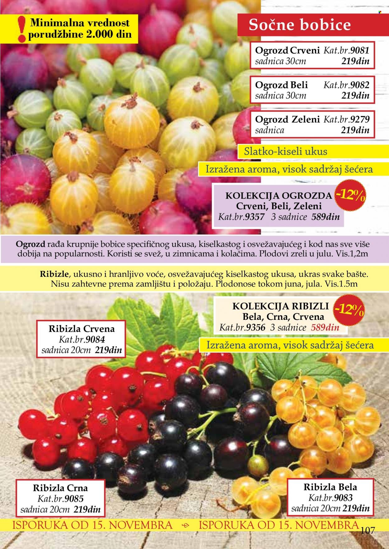 Flora Ekspres katalog. Stranica 107