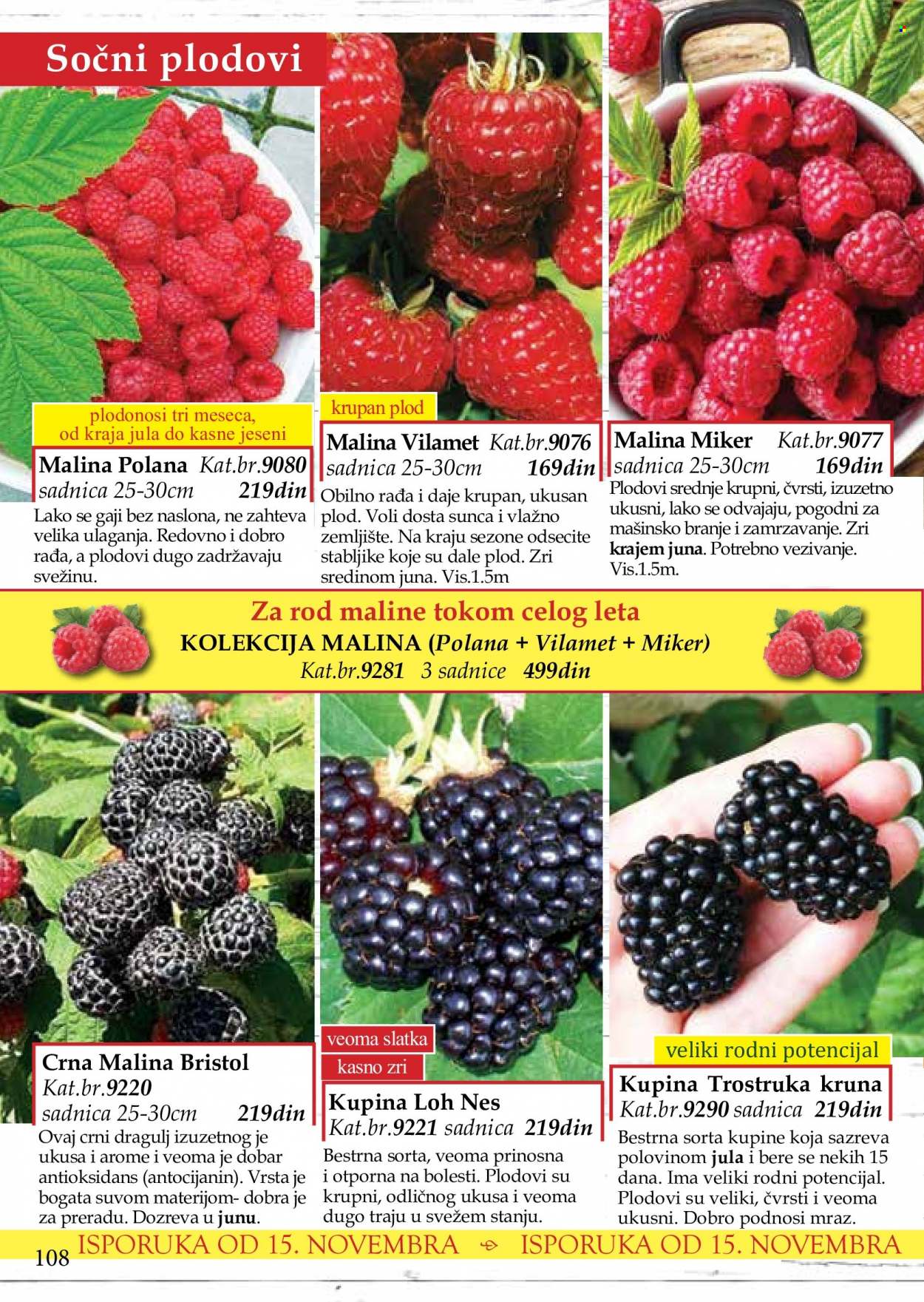 Flora Ekspres katalog. Stranica 108