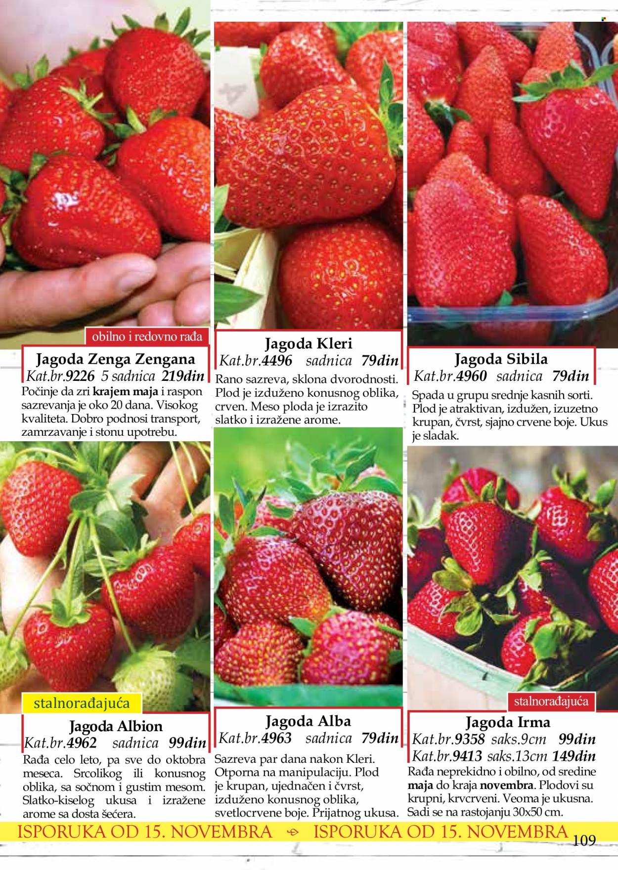 Flora Ekspres katalog. Stranica 109