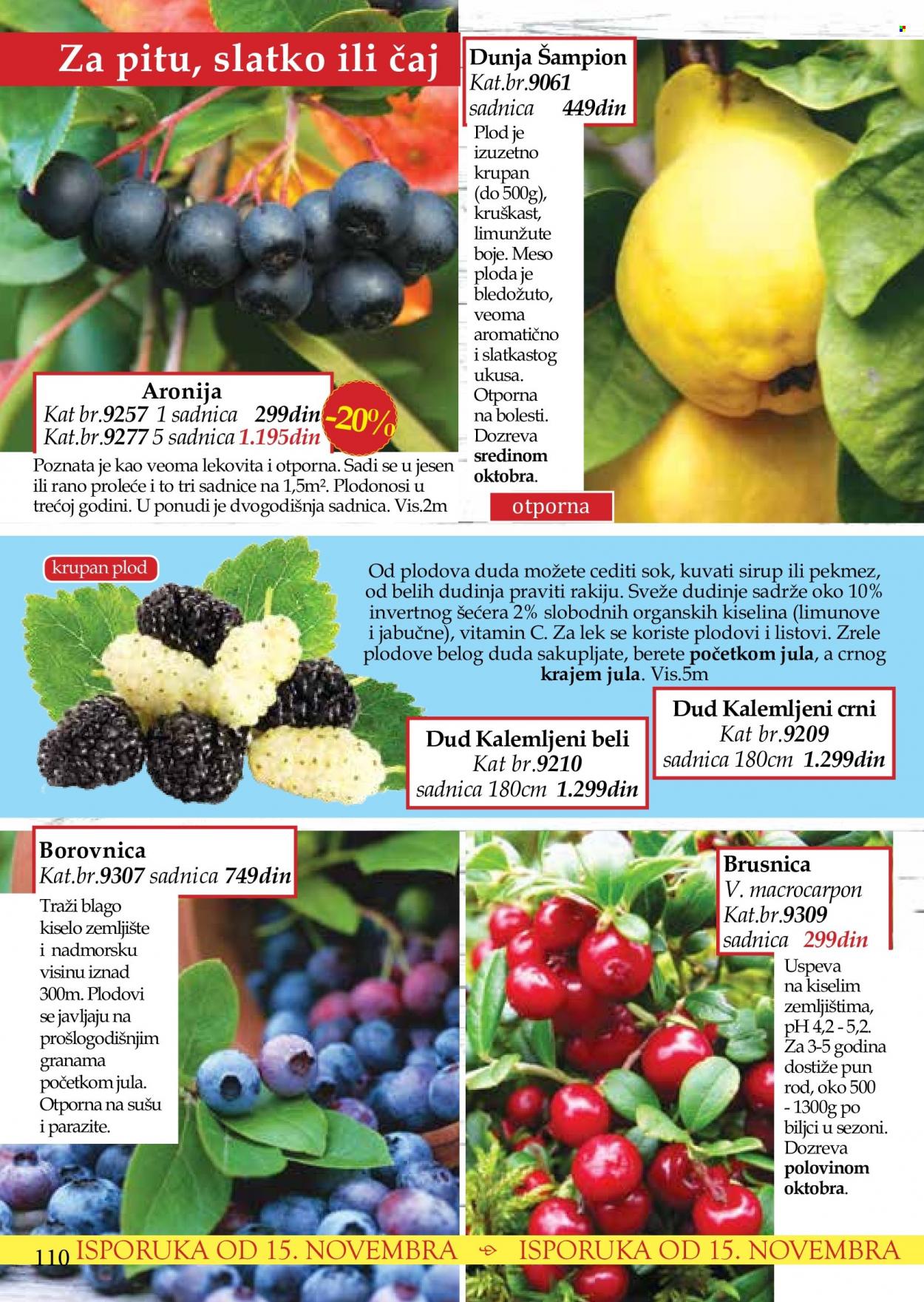 Flora Ekspres katalog. Stranica 110
