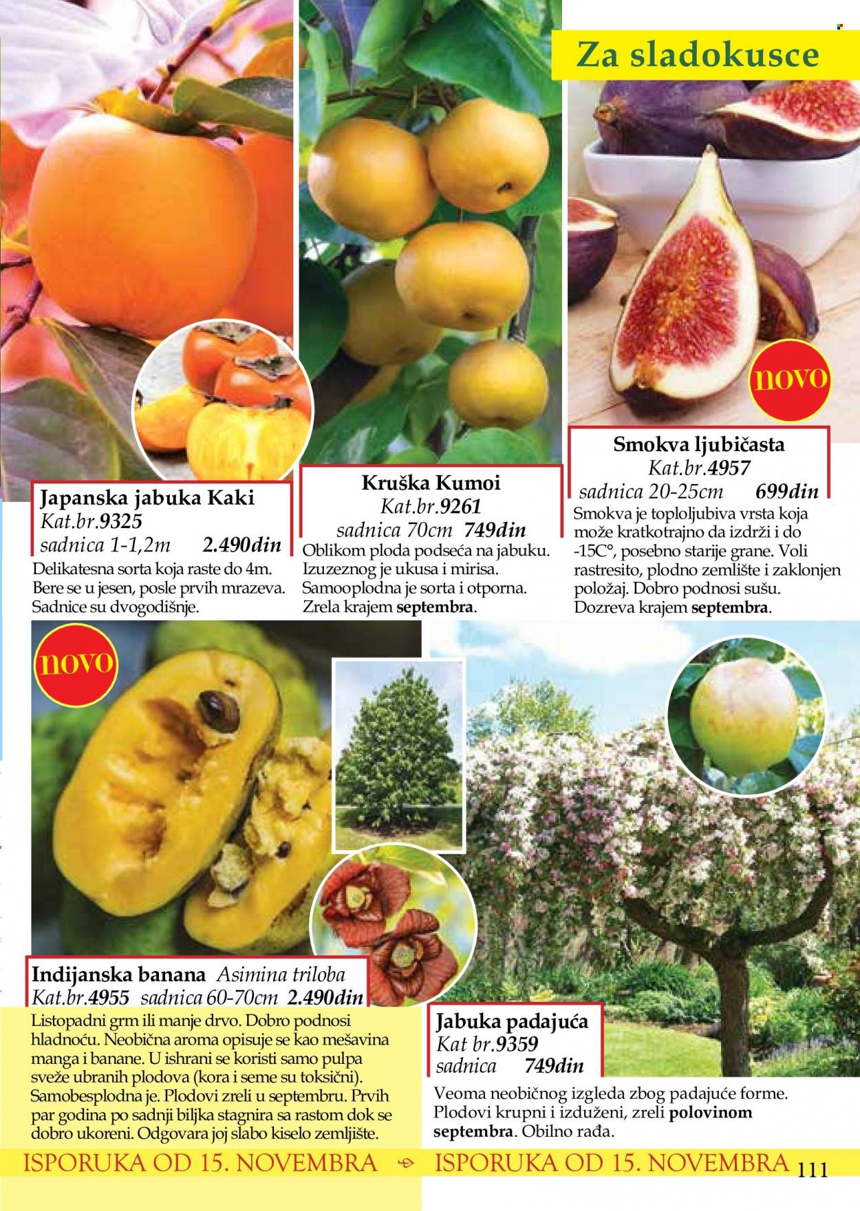 Flora Ekspres katalog. Stranica 111