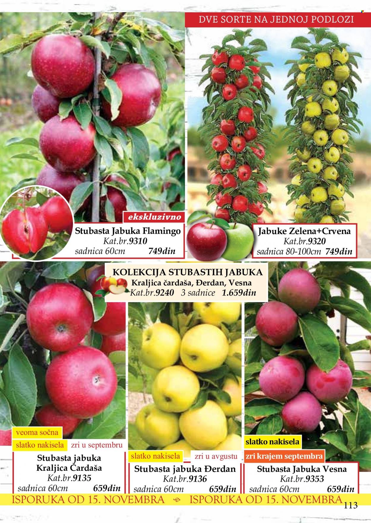 Flora Ekspres katalog. Stranica 113
