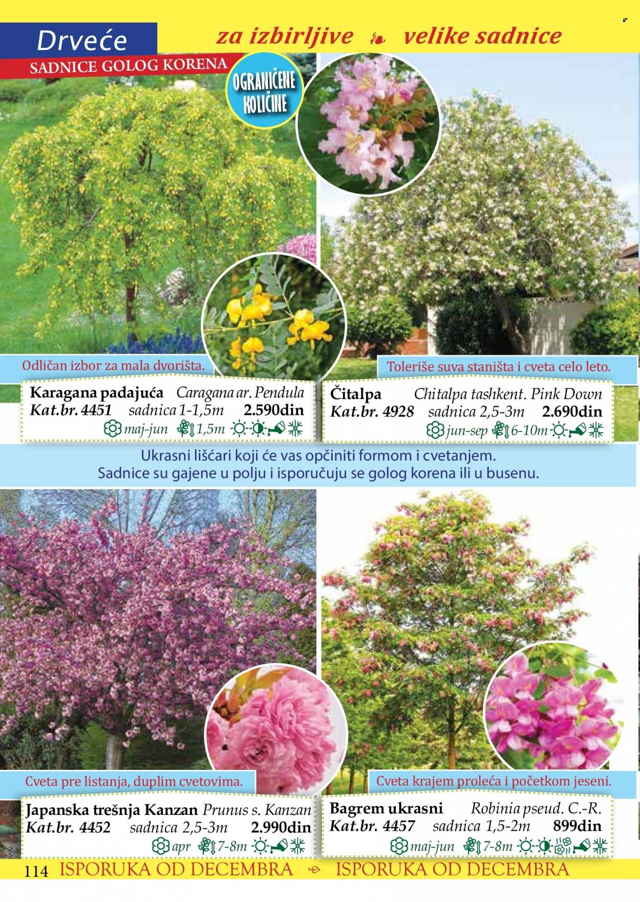 Flora Ekspres katalog. Stranica 114
