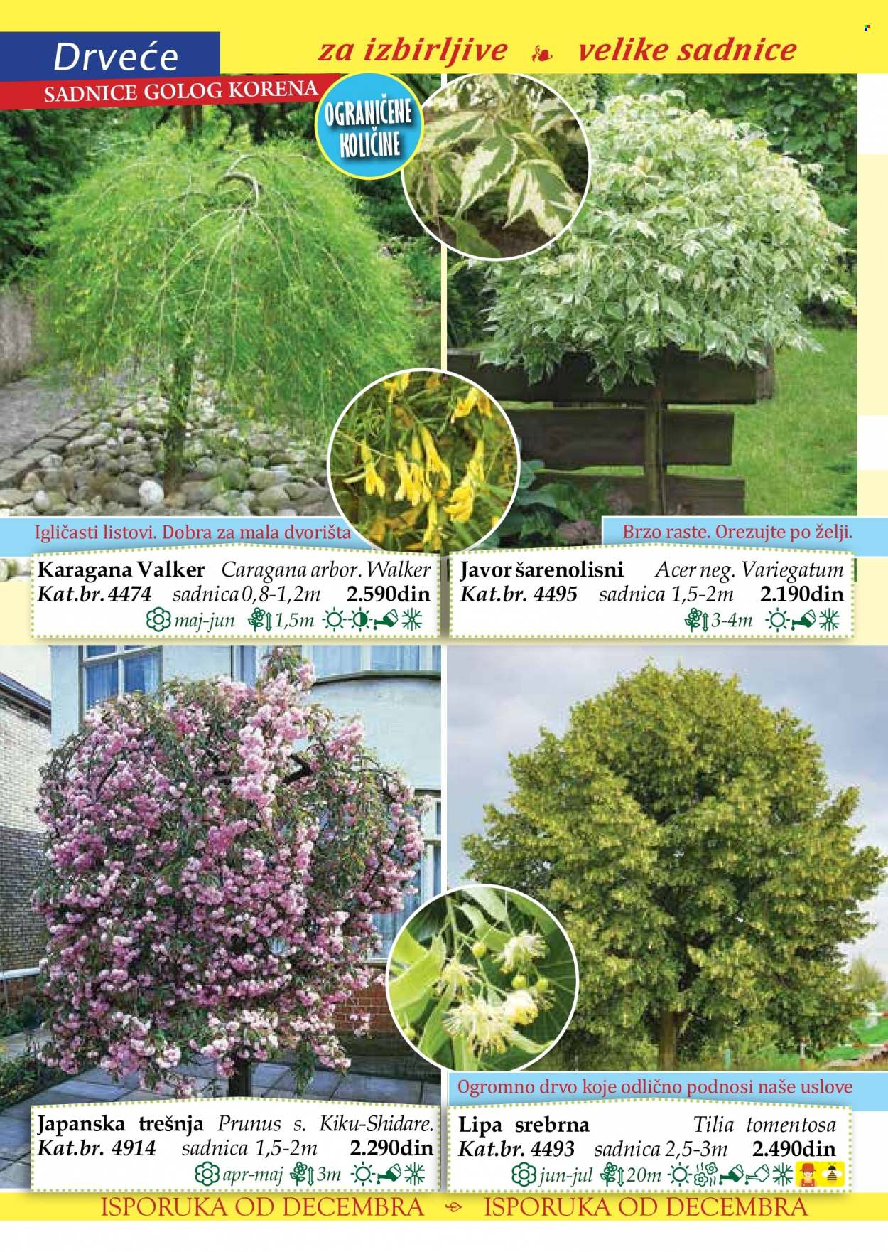 Flora Ekspres katalog. Stranica 116