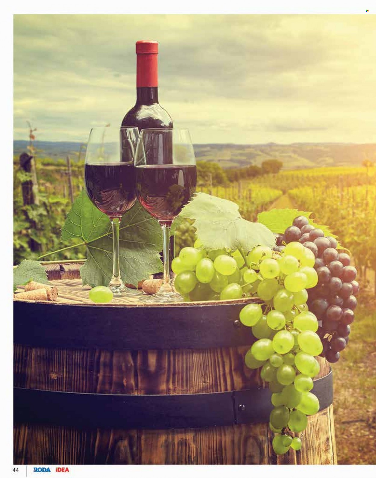Roda katalog - 17.09.2021 - 17.10.2021. Stranica 44