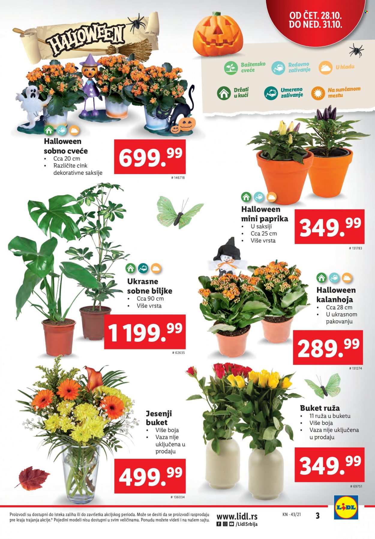 Lidl katalog - 28.10.2021 - 03.11.2021. Stranica 3