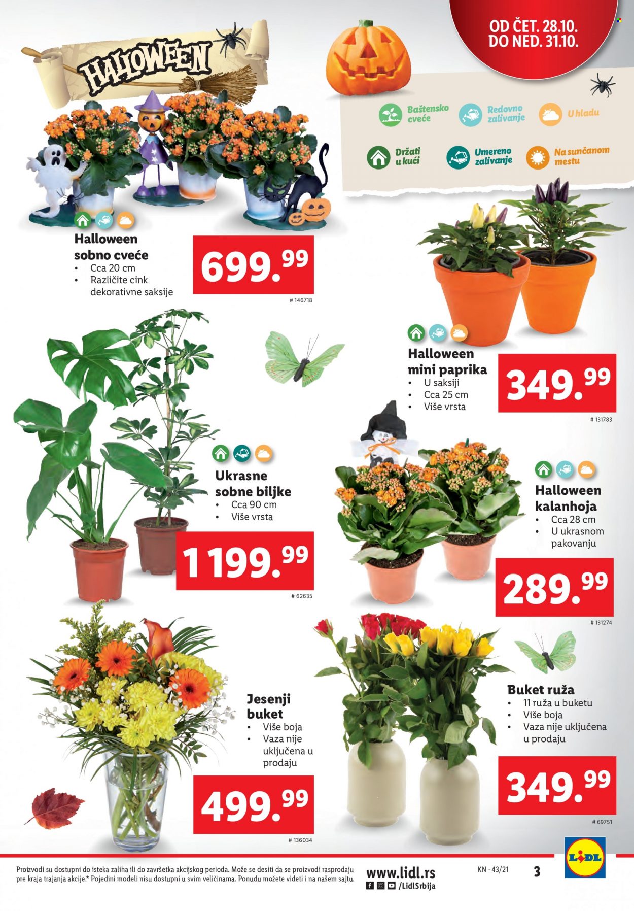 thumbnail - Lidl katalog - 28.10.2021 - 03.11.2021 - Proizvodi na akciji - paprika, vaza, cveće, kalanhoja, sobne biljke, dijetetski suplement. Stranica 3.
