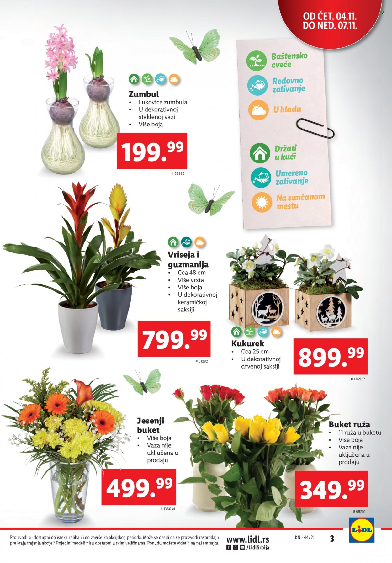 Lidl katalog - 04.11.2021 - 10.11.2021. Stranica 3