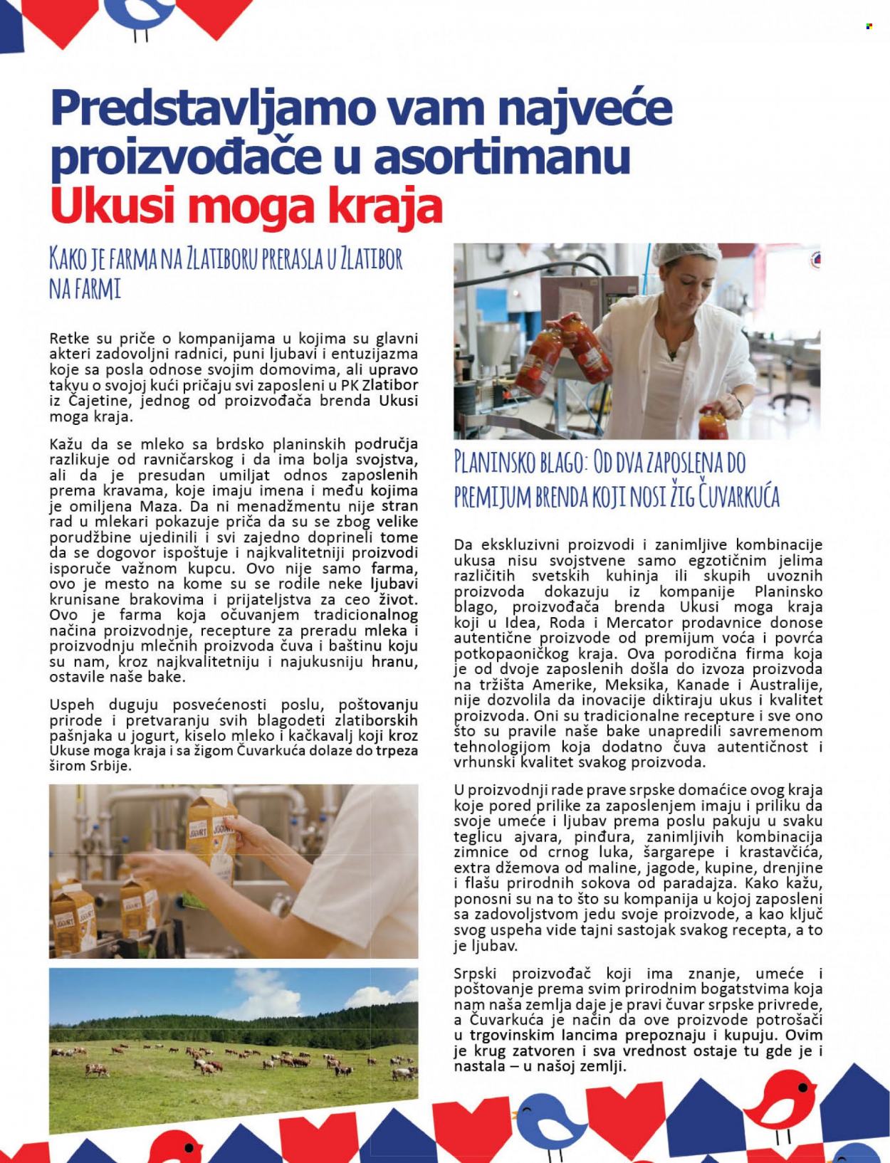 Idea katalog - 29.11.2021 - 12.12.2021. Stranica 13