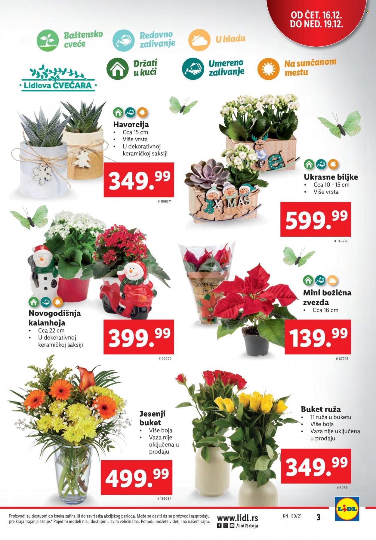 Lidl katalog - 16.12.2021 - 22.12.2021. Stranica 3