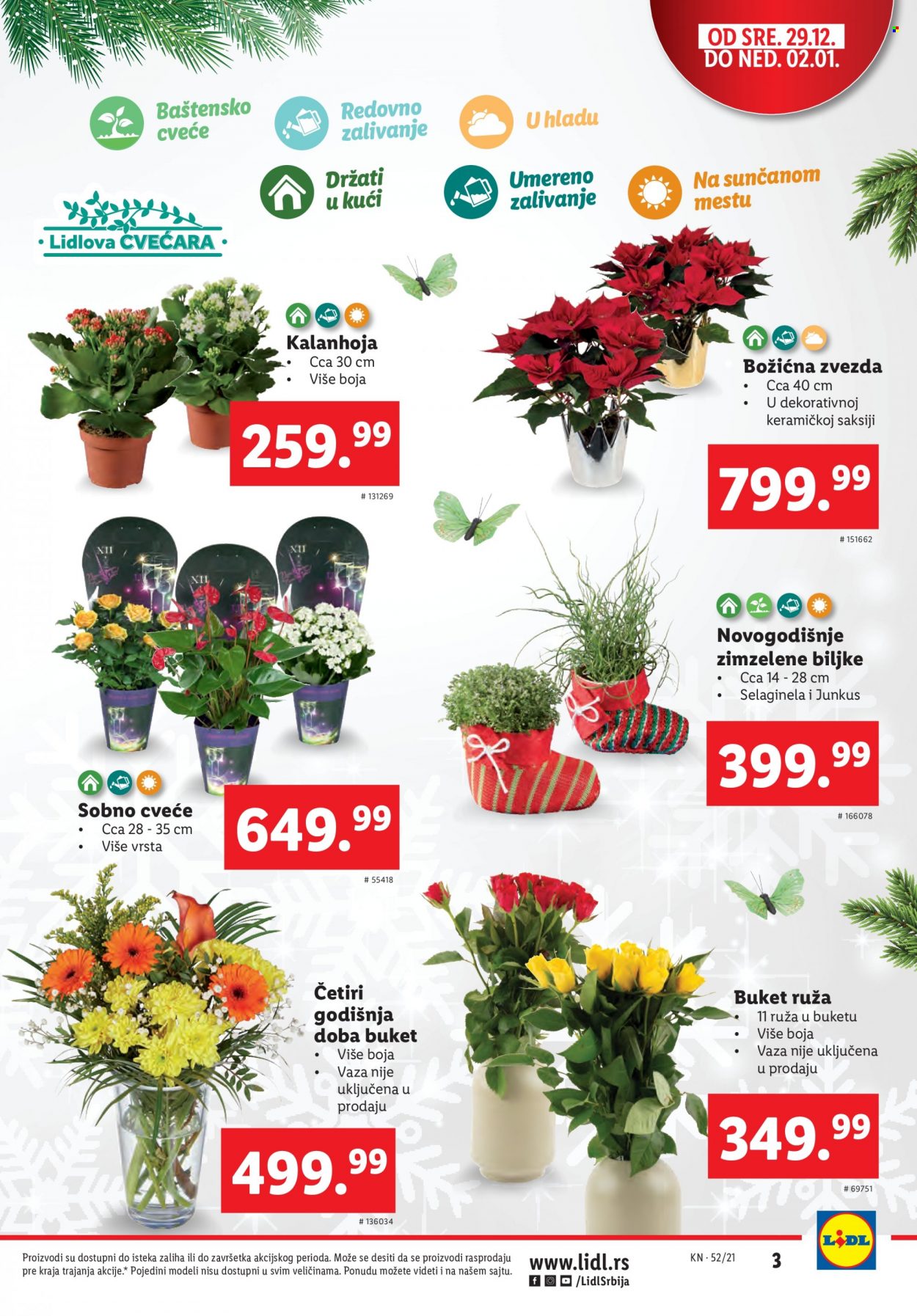 Lidl katalog - 29.12.2021 - 05.01.2022. Stranica 3