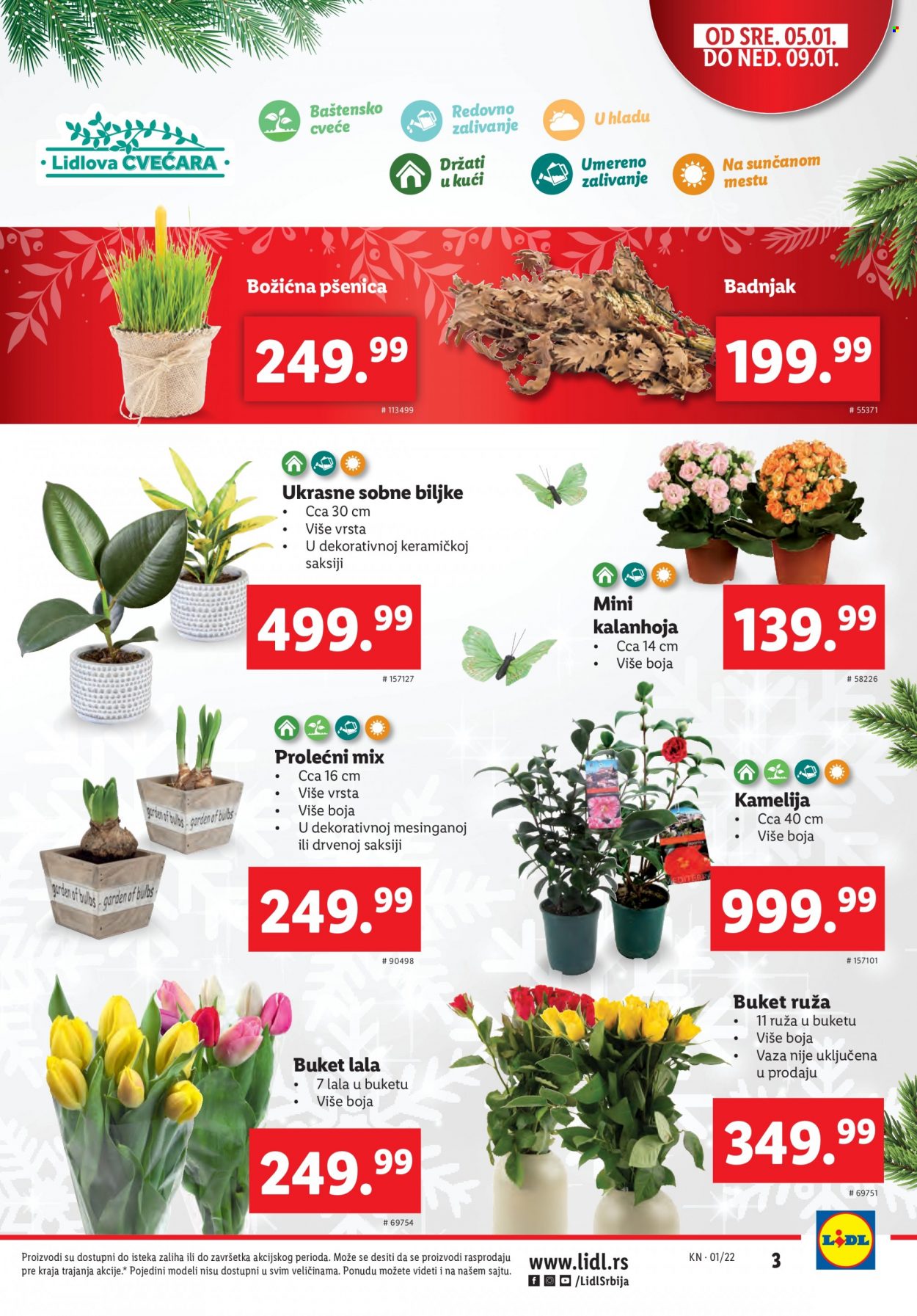 Lidl katalog - 05.01.2022 - 12.01.2022. Stranica 3