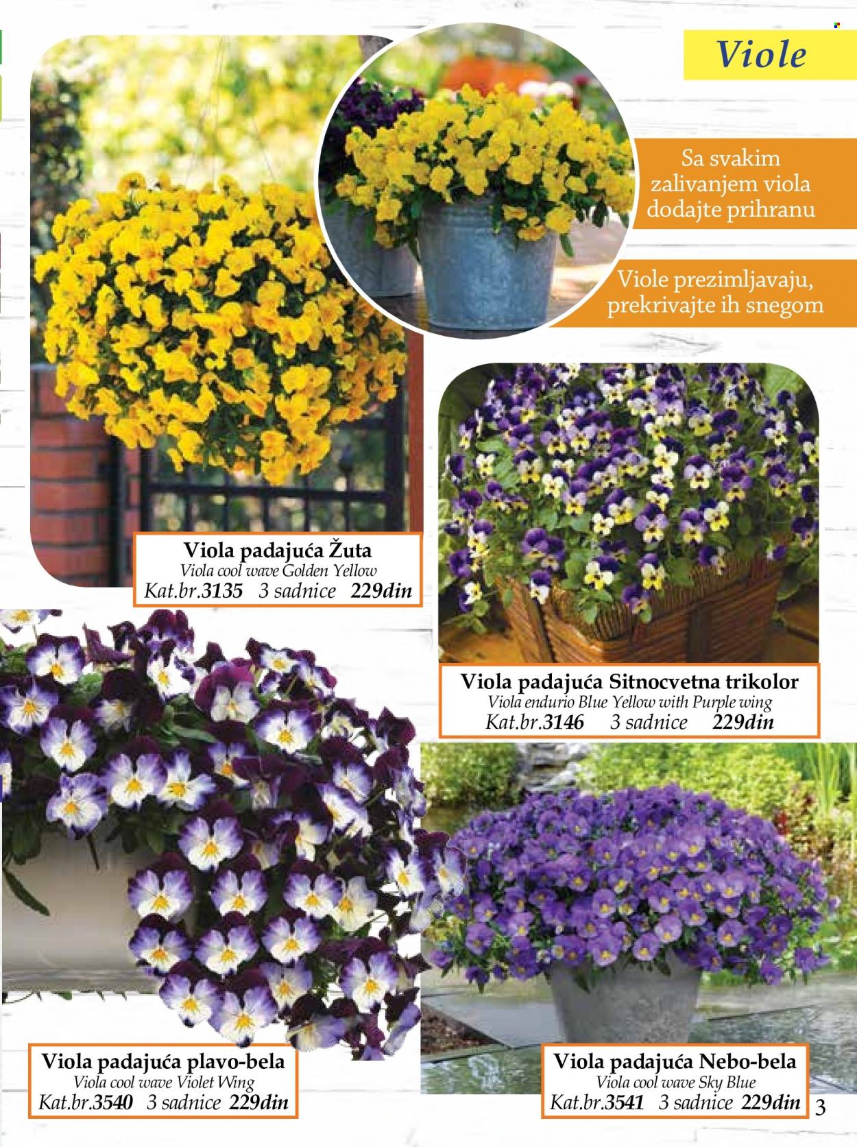 Flora Ekspres katalog. Stranica 3