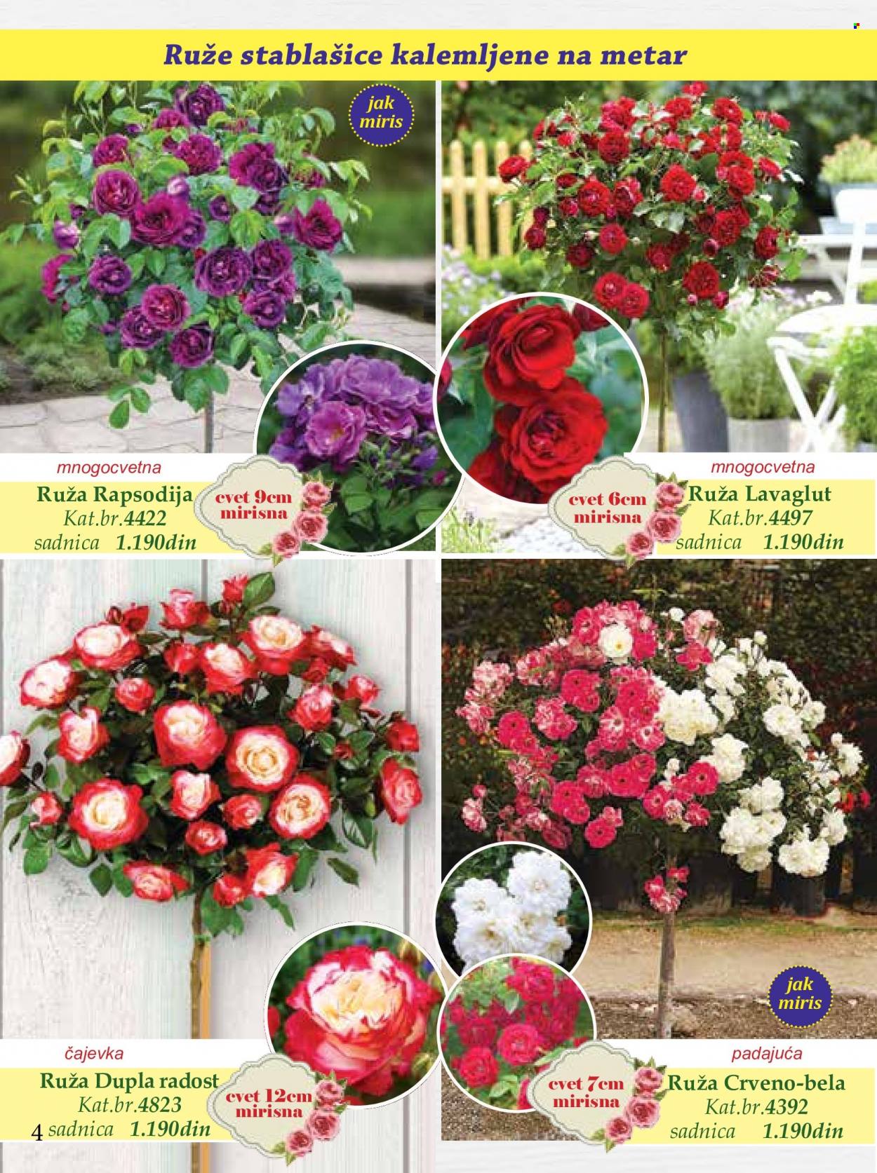 Flora Ekspres katalog. Stranica 4