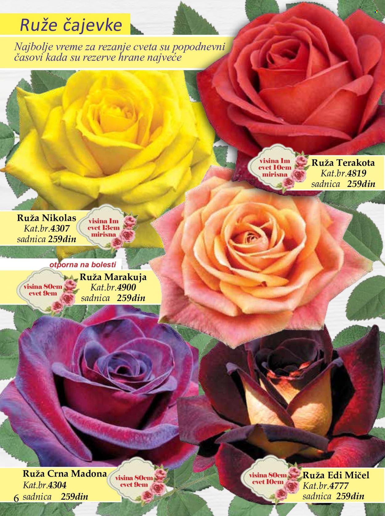 Flora Ekspres katalog. Stranica 6