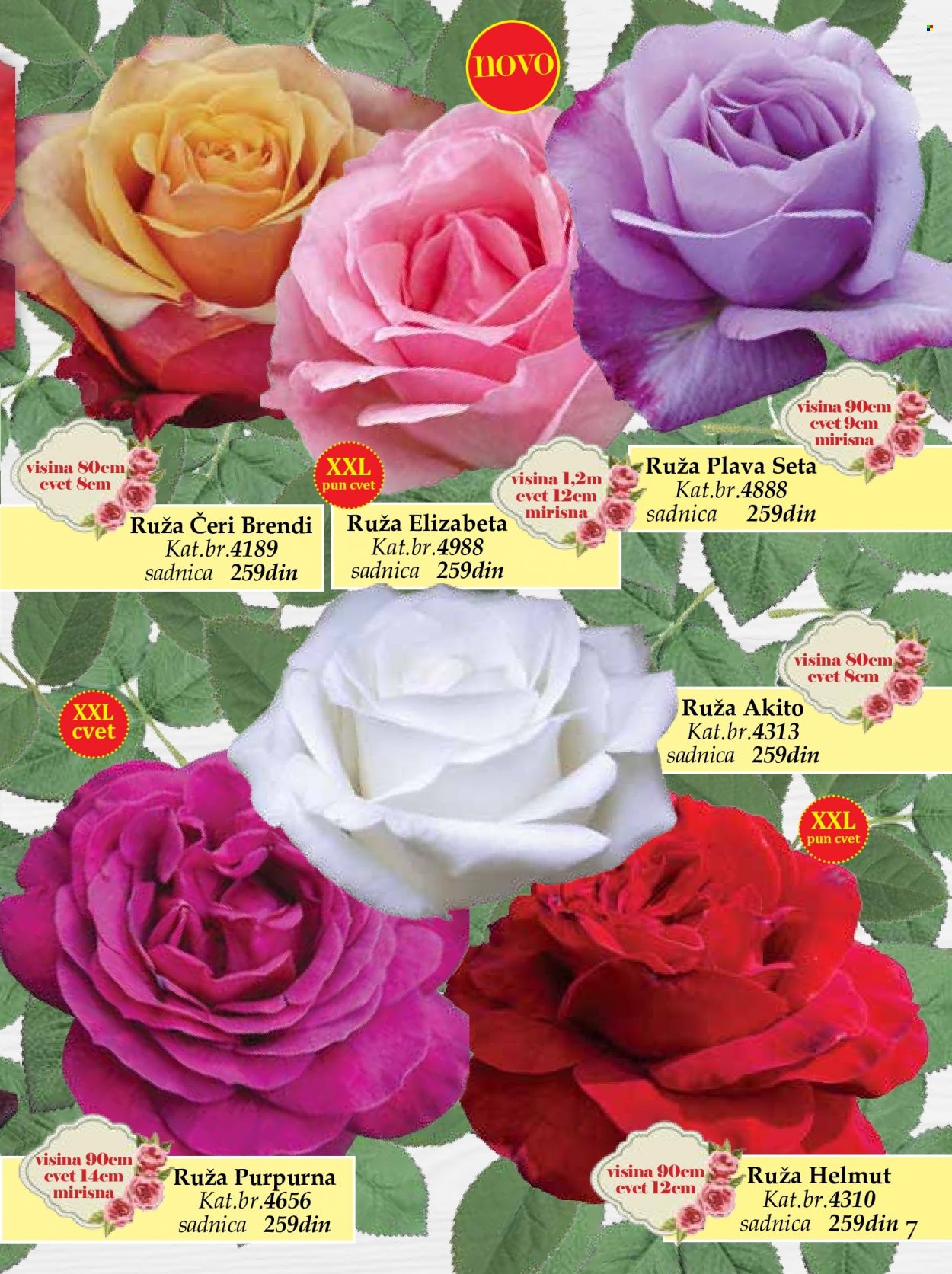 Flora Ekspres katalog. Stranica 7