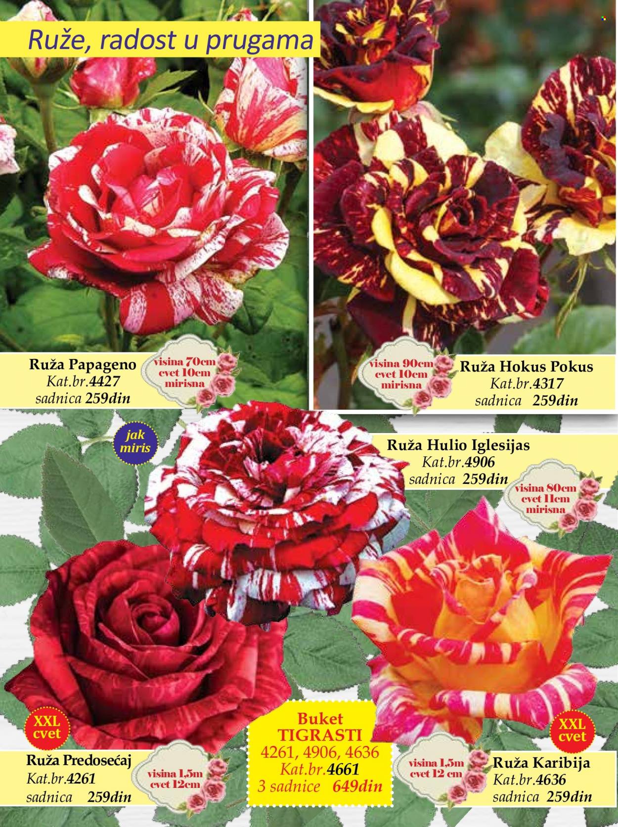Flora Ekspres katalog. Stranica 8