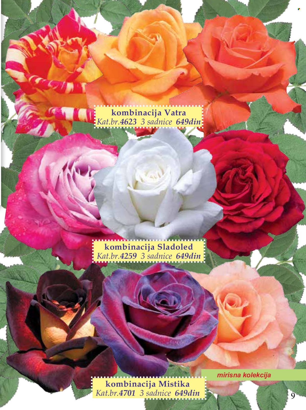 Flora Ekspres katalog. Stranica 9