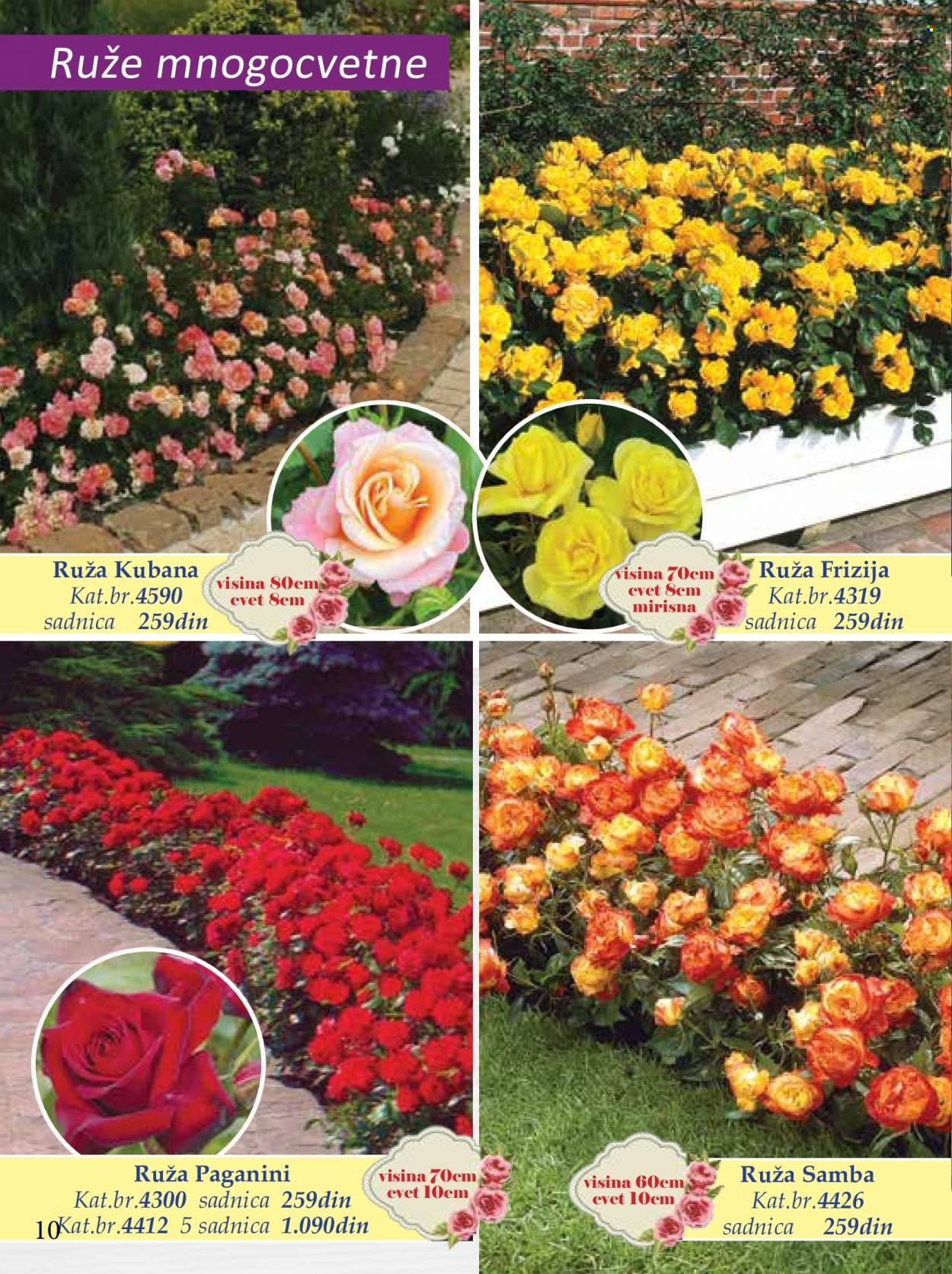 Flora Ekspres katalog. Stranica 10