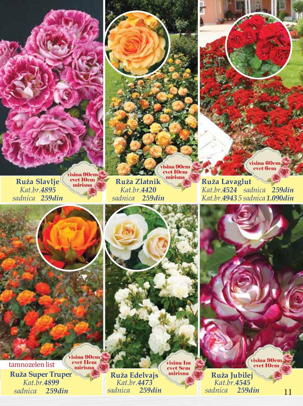Flora Ekspres katalog. Stranica 11