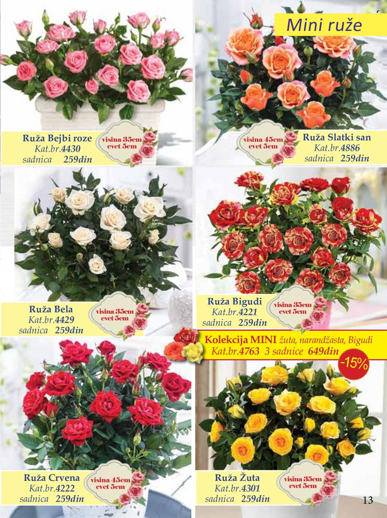 Flora Ekspres katalog. Stranica 13