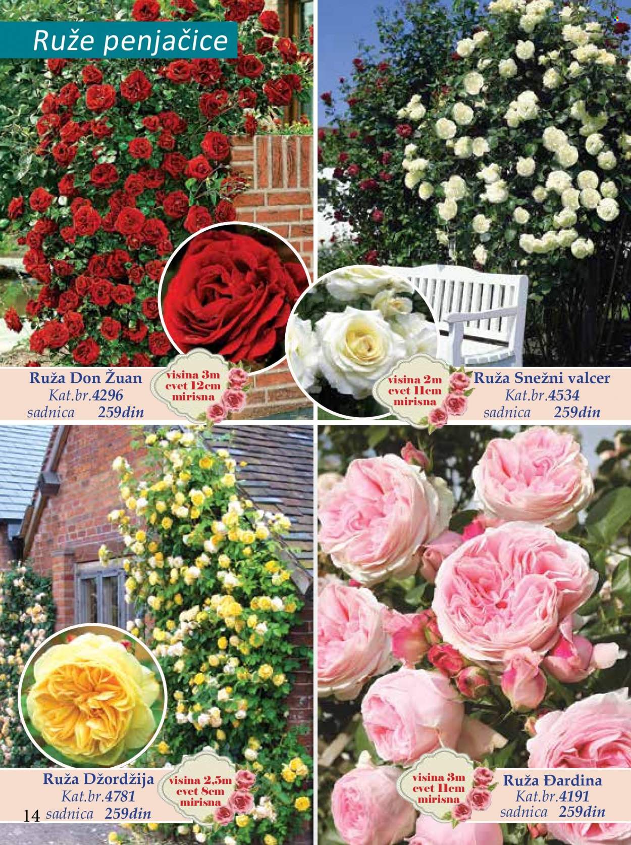 Flora Ekspres katalog. Stranica 14