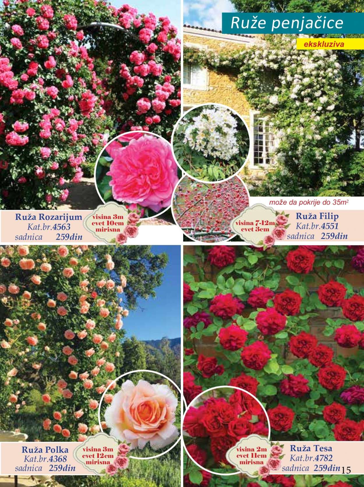 Flora Ekspres katalog. Stranica 15