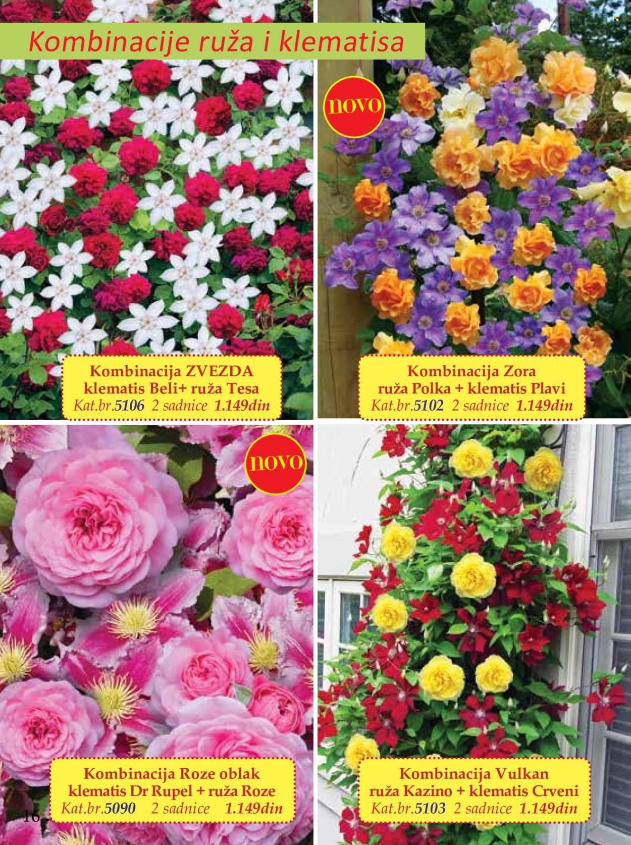 Flora Ekspres katalog. Stranica 16