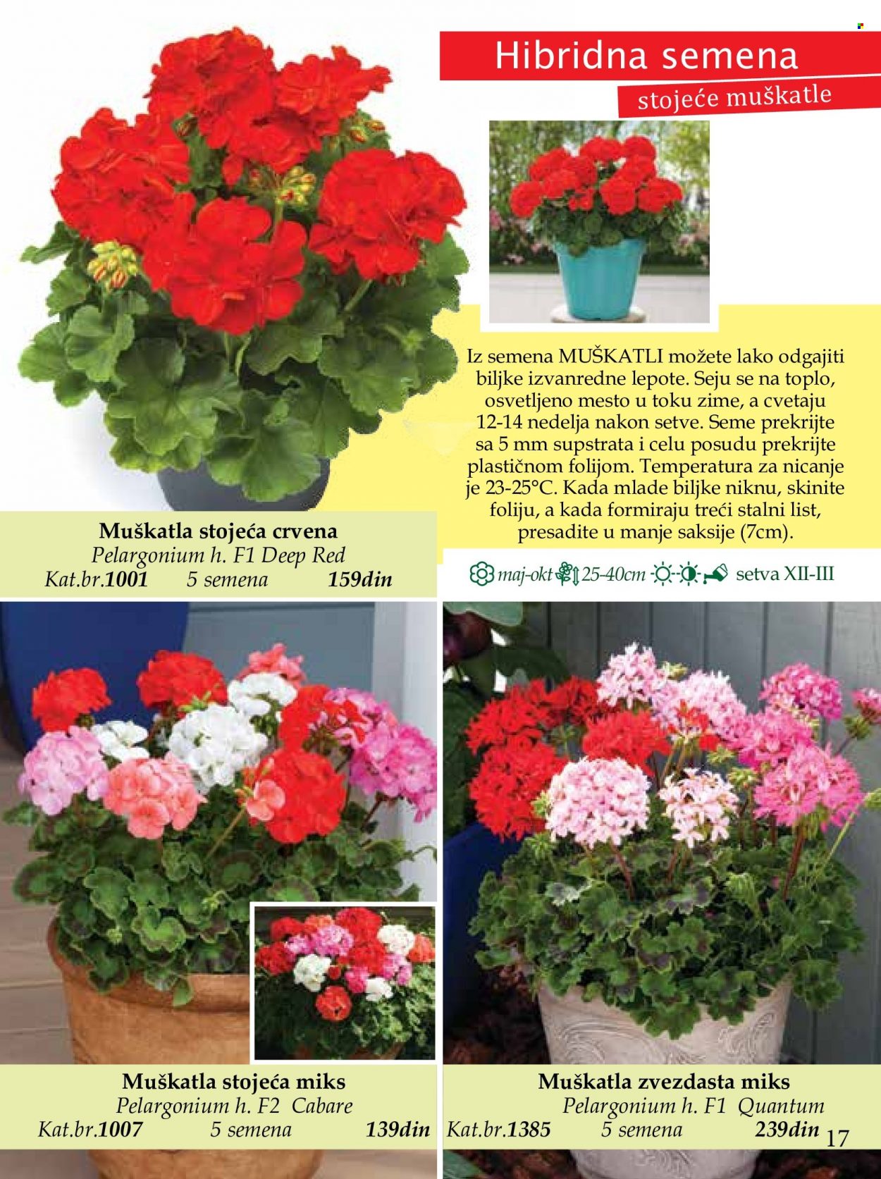 Flora Ekspres katalog. Stranica 17