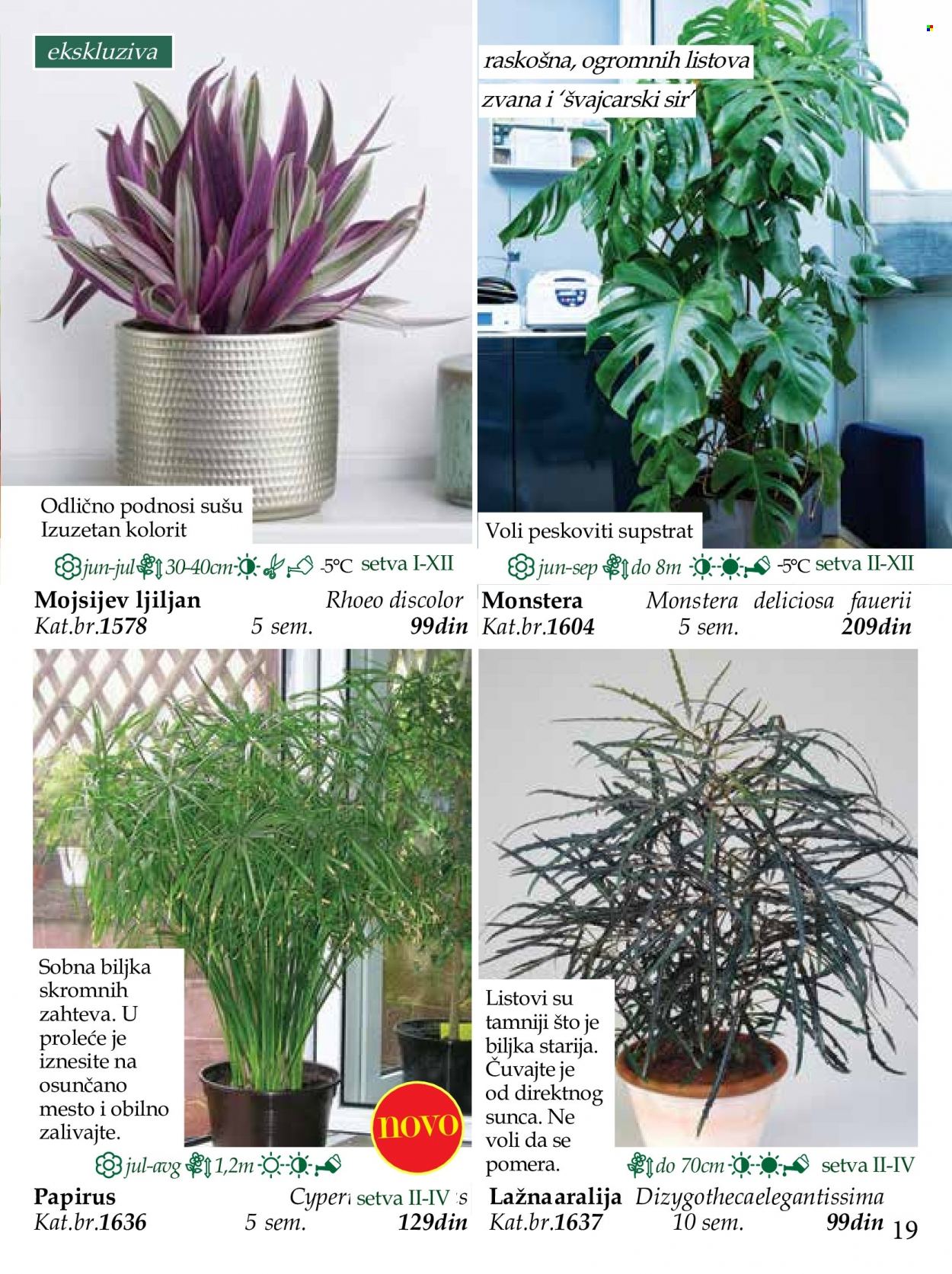 Flora Ekspres katalog. Stranica 19