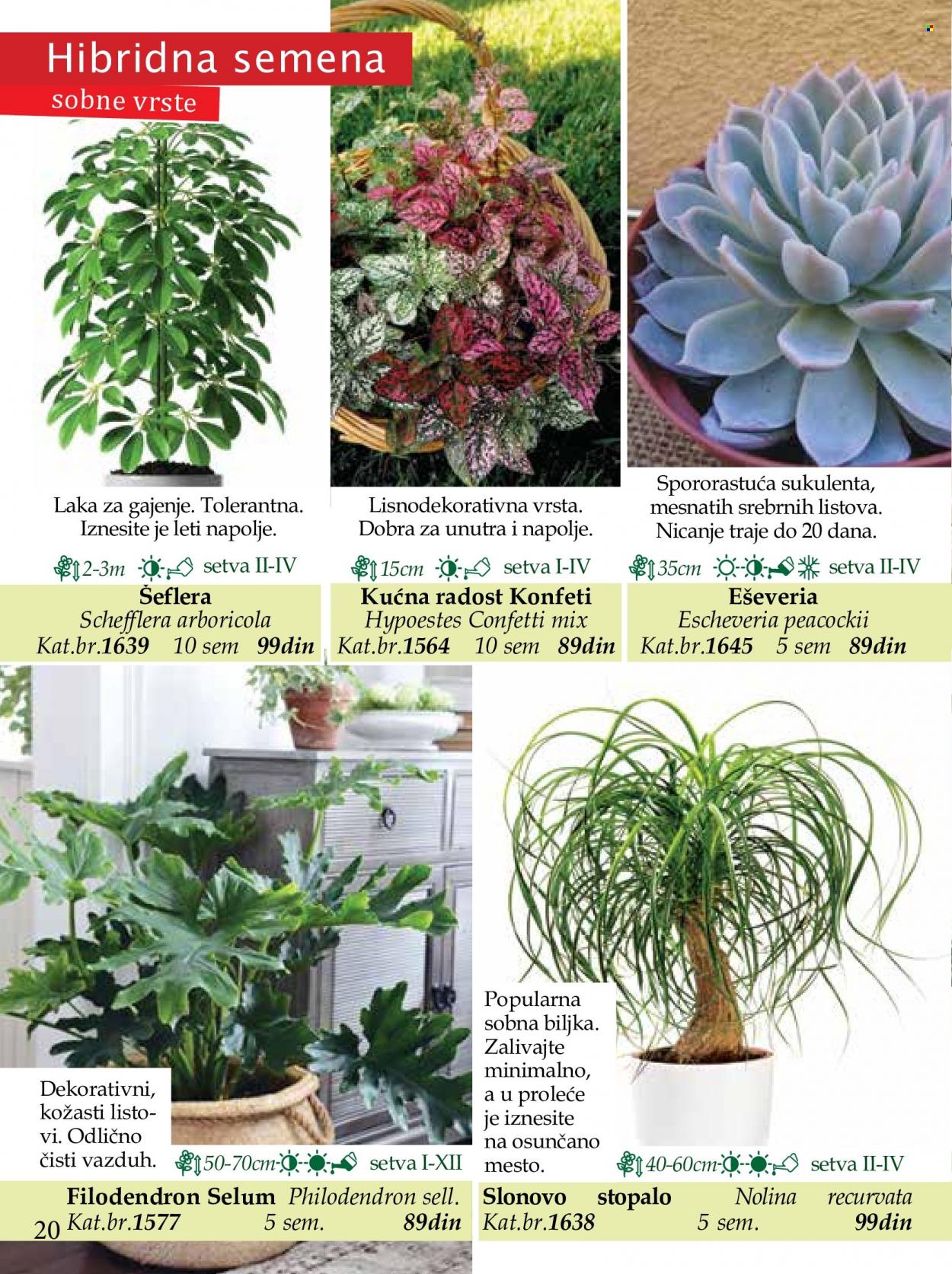 Flora Ekspres katalog. Stranica 20