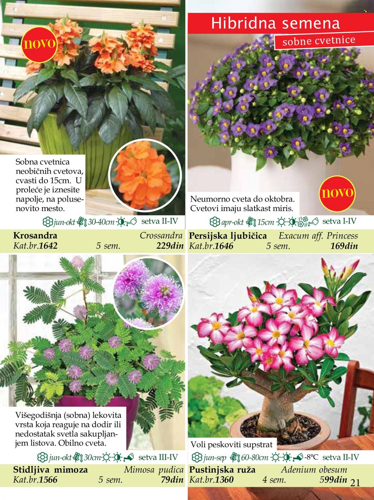 Flora Ekspres katalog. Stranica 21