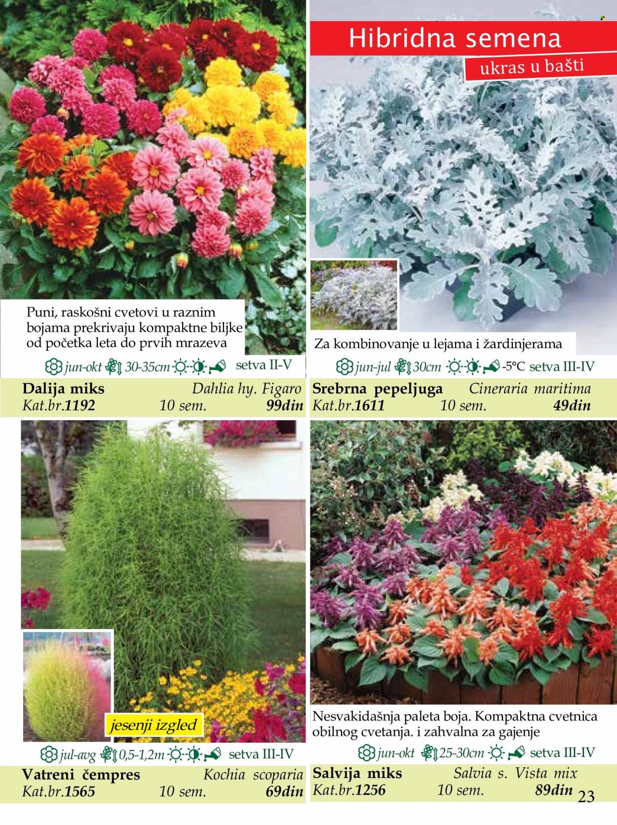 Flora Ekspres katalog. Stranica 23